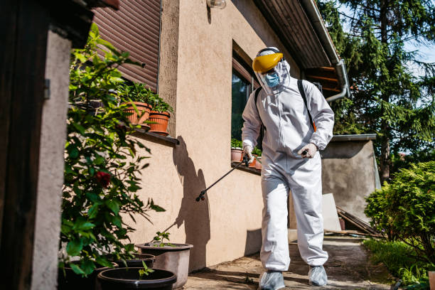 Best Emergency Pest Control  in Mount Arlington, NJ