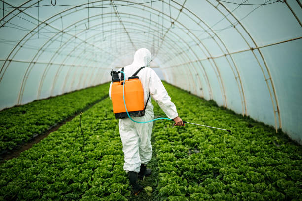 Best Emergency Pest Control  in Mount Arlington, NJ
