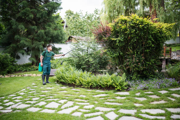 Best Bird Control  in Mount Arlington, NJ