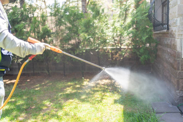 Professional Pest Control in Mount Arlington, NJ
