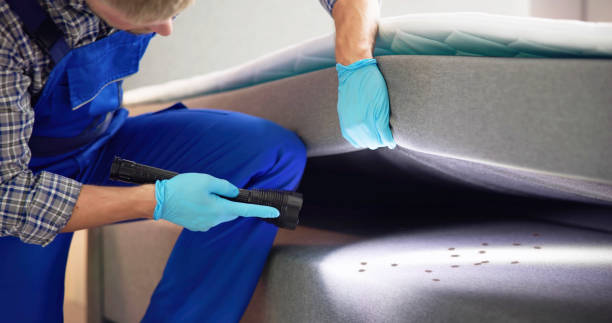 Best Best Pest Control Companies  in Mount Arlington, NJ