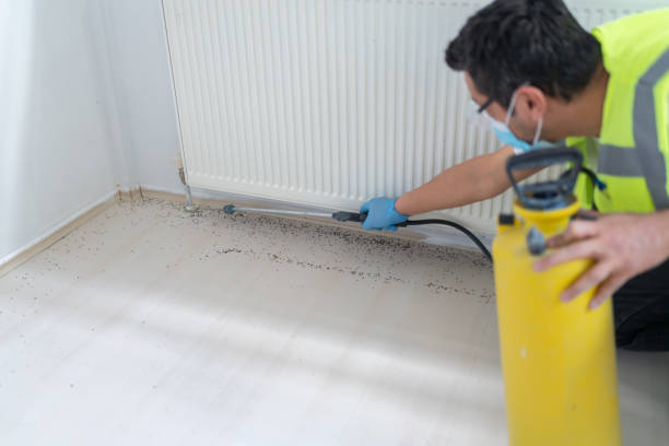 Best Cockroach Control Services  in Mount Arlington, NJ