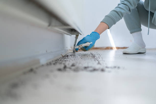 Best Mosquito Control Services  in Mount Arlington, NJ